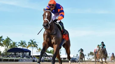 Yunta venezolana hace de las suyas y gana la sexta carrera de Gulfstream Park 