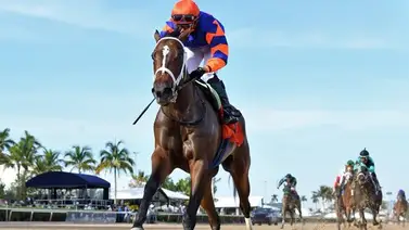 Yunta venezolana hace de las suyas y gana la sexta carrera de Gulfstream Park Yunta venezolana hace de las suyas y gana la sexta carrera de Gulfstream Park