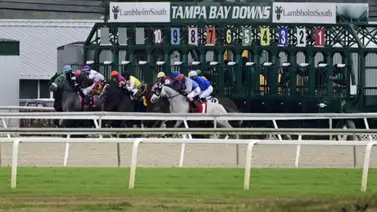 Daniel Centeno cada vez más cerca de los 3.400 triunfos de por vida Daniel Centeno cada vez más cerca de los 3.400 triunfos de por vida