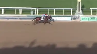 Costoso potro de Bob Baffert gana el San Vicente Stakes (G2) Costoso potro de Bob Baffert gana el San Vicente Stakes (G2)