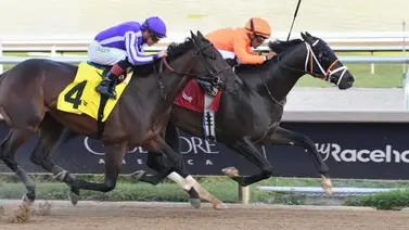 José Francisco D’Angelo consigue la tarde de este sábado su primer Stakes del 2025 José Francisco D’Angelo consigue la tarde de este sábado su primer Stakes del 2025