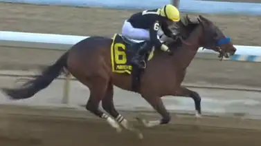 Cyclone State consigue 10 puntos de clasificación para el Kentuky Derby Cyclone State consigue 10 puntos de clasificación para el Kentuky Derby