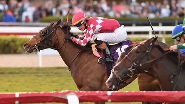 Jockey boricua gana stakes en milla en Gulfstream Park
