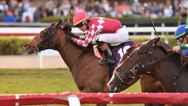 Jockey boricua gana stakes en milla en Gulfstream Park Jockey boricua gana stakes en milla en Gulfstream Park
