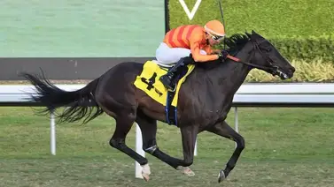 Leonel Reyes consigue victoria en Gulfstream Park y se coloca a una de las 900 Leonel Reyes consigue victoria en Gulfstream Park y se coloca a una de las 900