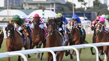 Entrenadores venezolanos sin dar ventajas arrancaron con 18 victorias Entrenadores venezolanos sin dar ventajas arrancaron con 18 victorias