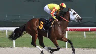 Víctor Barboza Jr., campeón zuliano, se alzó con triplete en la semana Víctor Barboza Jr., campeón zuliano, se alzó con triplete en la semana