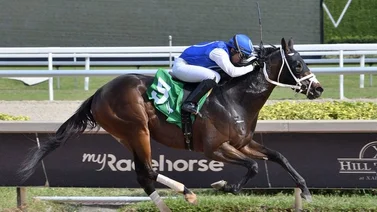 Jinete Miguel Ángel Vásquez le da la primera victoria del año al trainer Carlos Narváez en Gulfstream Park