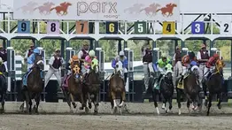 Parx Racing sin carreras la tarde de este lunes por esta razón