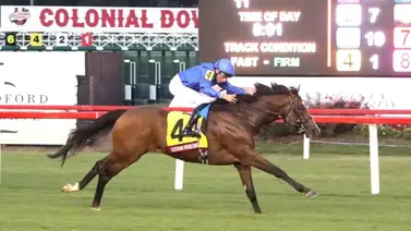 Invitaciones para la Pegasus World Cup Turf y Cup Filly & Mare Turf Invitaciones para la Pegasus World Cup Turf y Cup Filly & Mare Turf