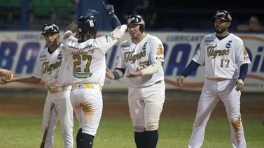 LVBP: Así está la serie particular entre Tigres y Águilas en postemporada (+video)