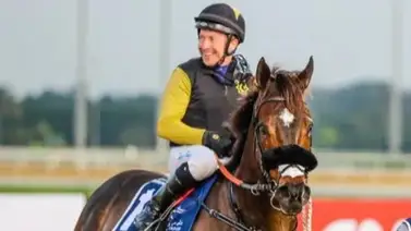 Tuz el mejor sprinter de Dubái está listo para la gala de la Dubái World Cup Tuz el mejor sprinter de Dubái está listo para la gala de la Dubái World Cup