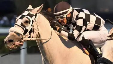 Leonel Reyes Ramos buscará la victoria 900 con estas montas este fin de semana Leonel Reyes Ramos buscará la victoria 900 con estas montas este fin de semana