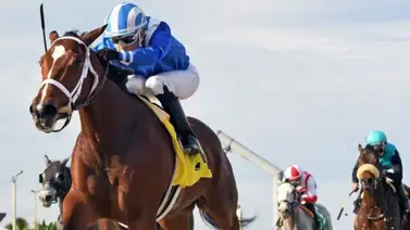 Tampa Bay Downs mejor escenario para los jinetes venezolanos Tampa Bay Downs mejor escenario para los jinetes venezolanos