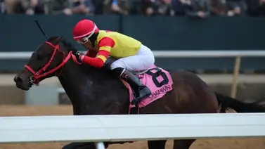 Coal Battle de 2-2 camino al Kentucky Derby Coal Battle de 2-2 camino al Kentucky Derby
