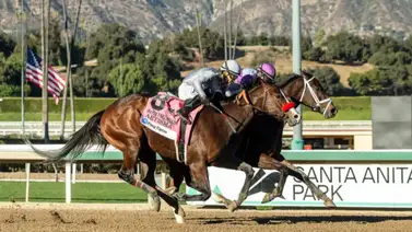 Look Forward ganó luciendo los colores de Nyquist y I'll Have Another Look Forward ganó luciendo los colores de Nyquist y I'll Have Another