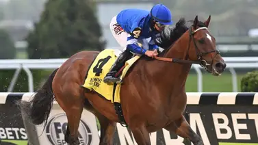 ¡Ya es papá! Nace el primer producto del campeón Cody's Wish ¡Ya es papá! Nace el primer producto del campeón Cody's Wish