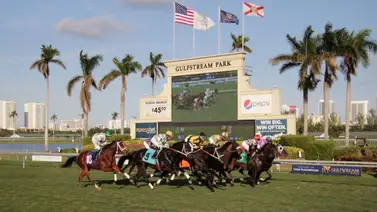 Yunta venezolana abre con victoria la jornada de Gulstream Park Yunta venezolana abre con victoria la jornada de Gulstream Park
