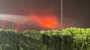 Comunicado oficial de Santa Anita sobre las próximas jornadas Comunicado oficial de Santa Anita sobre las próximas jornadas