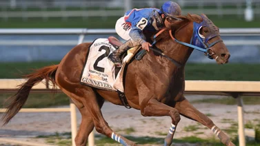 Hijo de Gunnevera que debutó con victoria corre este jueves en Fair Grounds
