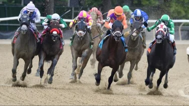 La segunda victoria de la campaña para Mychel Sánchez llega este miércoles en Parx Racing