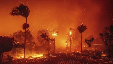 Pacific Palisades incendios