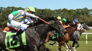 Dúo criollo se impone de punta a punta en Tampa Bay Downs Dúo criollo se impone de punta a punta en Tampa Bay Downs