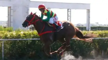 Hijo de California Chrome ganó con la monta del criollo Luis Rojas Hijo de California Chrome ganó con la monta del criollo Luis Rojas