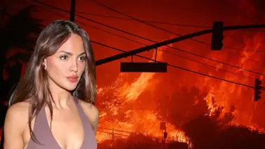 Eiza González ofrece ayuda para afectados por los incendios en California Eiza González ofrece ayuda para afectados por los incendios en California