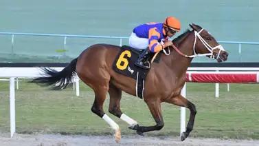 Víctor Barboza Jr., sigue acumulando triunfos en la Florida Víctor Barboza Jr., sigue acumulando triunfos en la Florida