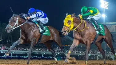 Señor Buscador irá por el ¡back to back! en la copa Saudí G1 Señor Buscador irá por el ¡back to back! en la copa Saudí G1