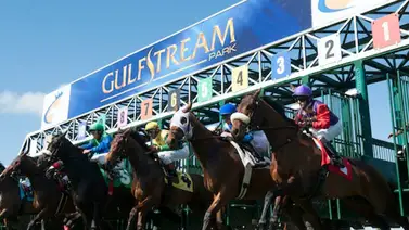 Batacazo de 60-1 la tarde de este jueves en Gulfstream Park Batacazo de 60-1 la tarde de este jueves en Gulfstream Park