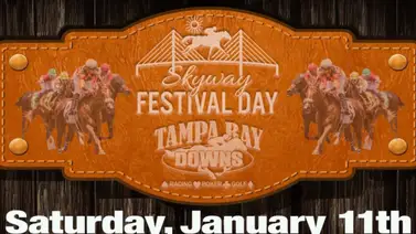 El sábado se disputará el Skyway Festival Day en Tampa Bay Downs El sábado se disputará el Skyway Festival Day en Tampa Bay Downs
