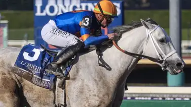White Abarrio se alista para su segunda Pegasus World Cup White Abarrio se alista para su segunda Pegasus World Cup