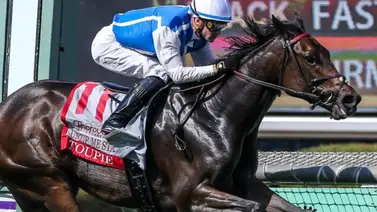 Toupie está de vuelta en Santa Anita para Las Ciénegas Stakes Toupie está de vuelta en Santa Anita para Las Ciénegas Stakes