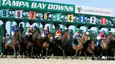 Jockey venezolano gana la primera carrera del 2025 en su primera monta con un batacazo Jockey venezolano gana la primera carrera del 2025 en su primera monta con un batacazo