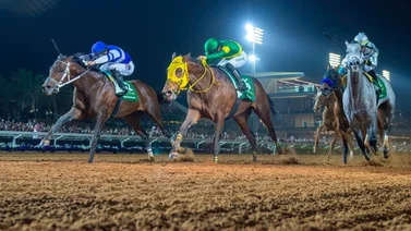 Junior Alvarado volverá a montar a este caballo campeón del 2024