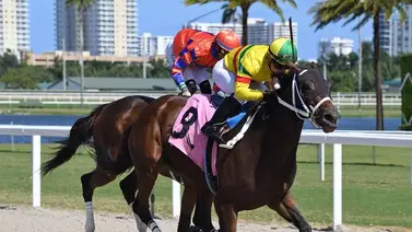 Sonny León y Juan Carlos Ávila de 2-2 en Tampa Bay Downs en el 2025 Sonny León y Juan Carlos Ávila de 2-2 en Tampa Bay Downs en el 2025