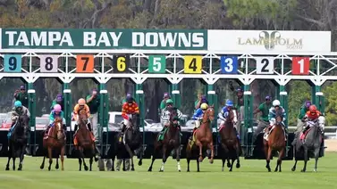 Hoy se corre el Skyway Festival Day en Tampa Bay + Pronósticos Hoy se corre el Skyway Festival Day en Tampa Bay + Pronósticos