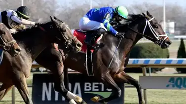 La ganadora del Go for Wand (G3) debutó victoriosa este 2025 La ganadora del Go for Wand (G3) debutó victoriosa este 2025