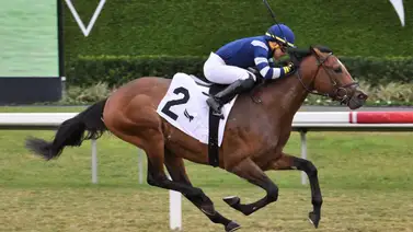 ¡Back to back para jinete venezolano que devuelve $46,60 el Daily Double! ¡Back to back para jinete venezolano que devuelve $46,60 el Daily Double!