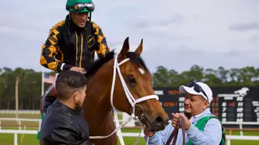 Jinete venezolano casi rueda durante la carrera del Pasco Stakes Jinete venezolano casi rueda durante la carrera del Pasco Stakes