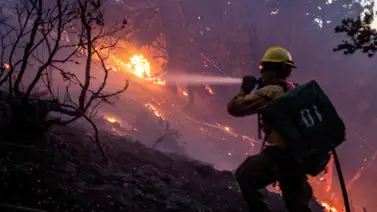 ¿Qué causó los letales incendios en California? (+Detalles) ¿Qué causó los letales incendios en California? (+Detalles)