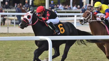 El muchacho de la película logró doblete incluyendo un stakes El muchacho de la película logró doblete incluyendo un stakes