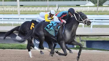Entrenador criollo alcanza su primer stakes en los Estados Unidos Entrenador criollo alcanza su primer stakes en los Estados Unidos