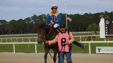 Junior Alvarado sobrado en Tampa Bay Downs Junior Alvarado sobrado en Tampa Bay Downs