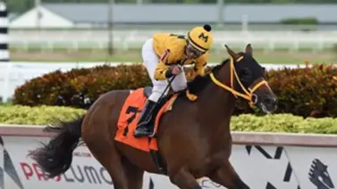 Dupla nativa triunfa en Tampa Bay Downs Dupla nativa triunfa en Tampa Bay Downs