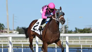 Emisael Jaramillo responde en la tanda dominical en Gulfstream Park Emisael Jaramillo responde en la tanda dominical en Gulfstream Park