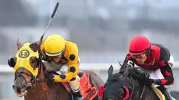 Jockey puertorriqueño arrasa el fin de semana en Aqueduct