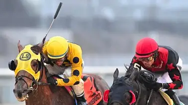 Jockey puertorriqueño arrasa el fin de semana en Aqueduct Jockey puertorriqueño arrasa el fin de semana en Aqueduct